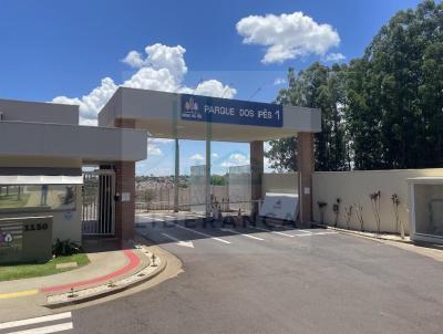 Apartamento para Loca��o, em Ourinhos, bairro Vila S�o Luiz, 2 dormit�rios, 1 banheiro, 1 vaga